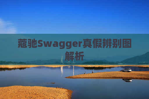 蔻驰Swagger真假辨别图解析